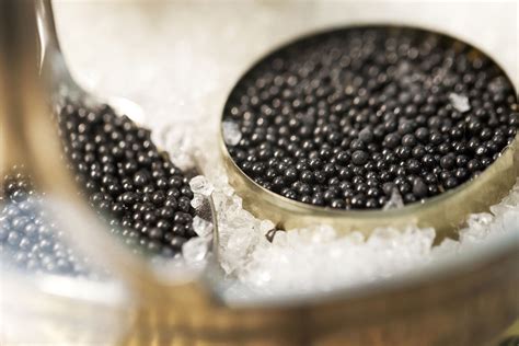 Le caviar 